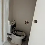 Large 3*